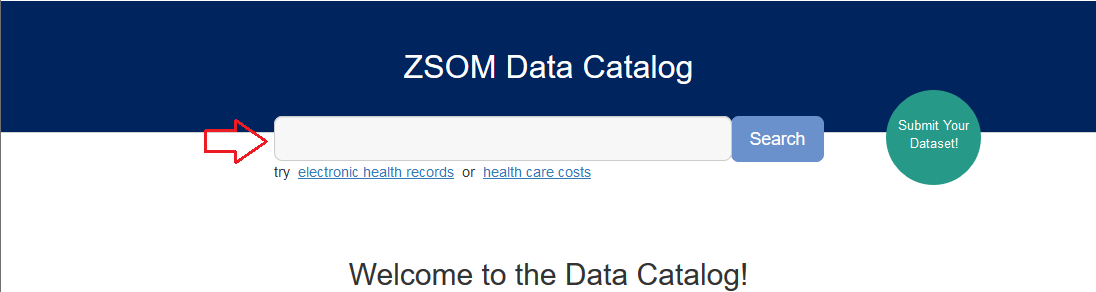 Screenshot of Data Catalog homepage